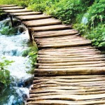 Tabiatın âczi delili