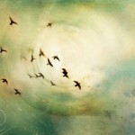 Mevlidi Bir Tasavvuf Metni Olarak Okumak