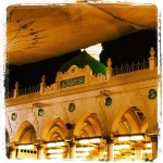 SANA ZEMİN AŞIK; ZAMAN AŞIK…