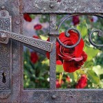 Hangi Özellik Kimde Daha Güzeldir?