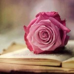 Kur’an-ı Kerim’e ve sünnete göre Hz. Meryem