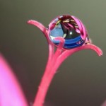 Marifetullah nedir ?