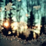 Hoş Gör.. Hoşça Gel…