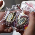 canlı anahtarlık” modası