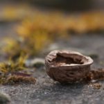 Hz. Peygamber’in Asabiyetle Mücadelesi – Prof. Dr. Adem Apak