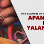 Apandis de Evrimi yalanlıyor