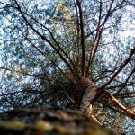 Dua Ederken NE İsteyelim ?