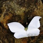 Ruhsallığı öldüren modern hayat – Mahmud Erol Kılıç