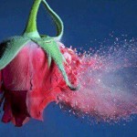 VE VURULUR KARDEŞLİK KARDEŞÇE(?)…