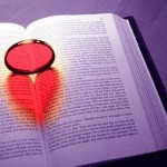 Müctehid ve Müceddid Nedir Kime Denir ?