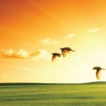 İsnad: İlmin Muhafızı