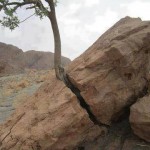 “Havf ve reca arasında olmak” ne demektir?