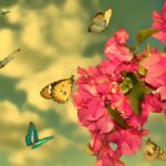 ‘Gevşemeyin!’ – Nureddin Yıldız