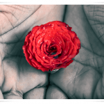 Alah’tan (c.c.) Ne İsteyelim?