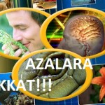 AZALARA DİKKAT !!!