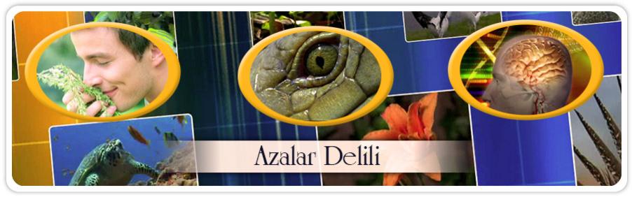 Azalar delili,