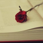 YARADANIN İZNİ İLE DİLE GEL EY GARİP GÖNÜL   