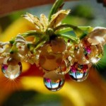 Tasavvufta Kesf ve Yakin