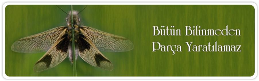 Bütün bilinmeden parça yaratılamaz