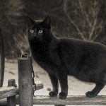 Batıl inanç mı? O da ne?