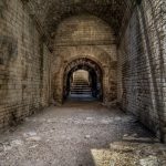 Modern Putçuluğun Nedeni