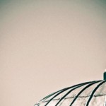 Genç Müslümanın Enerjisi – Rasim Özdenören