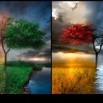 Talep Ettigi Sey Kisiyi Farkli Kilar