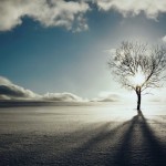 Karanlık Gecenin Fitneleri