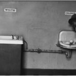 Irkçılık Batı kültürünün asıl hastalığı – Rasim Özdenören