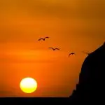 Hz. Peygamber’in İbadetleri – Prof. Dr. İbrahim Bayraktar