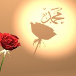 Sünnet Neden Önemlidir ? – A.Hamit Kahraman