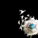 Hz. Mevlana’yı Gerçek Kimliği İle Tanımak ve Tanıtmak