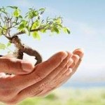 Gönüllere Taht Kuranlar