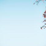 İki Kuşak Sahibi: Esma binti Ebû Bekir (r.anha)