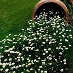 İslam Karşısında İnsanların Üç Hali