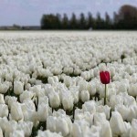 Her Alim Kendi Mertebesinden Konuşur