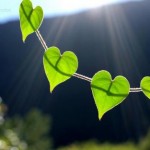 Kur’an-ı Kerim’ de İman Kavramı – 1