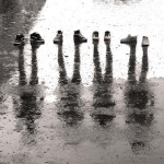 Sözleriniz Fotoğrafa Dönüşür