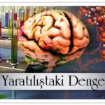 Yaratılıştaki denge: İnşa delili